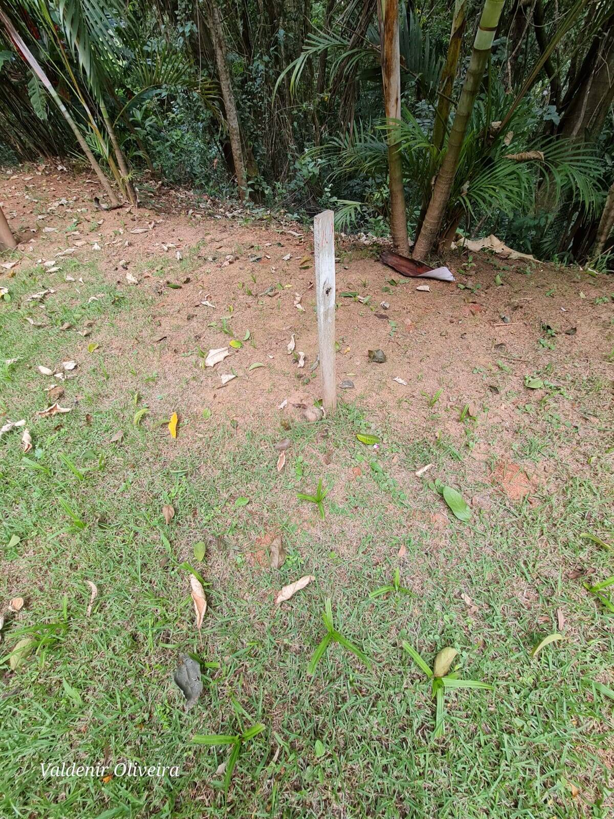 Terreno à venda, 1559m² - Foto 4