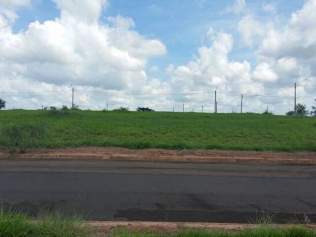 Área para Venda em Mirassol - 4