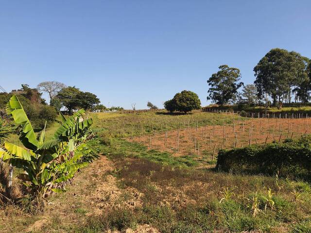 #168 - Chácara para Venda em Itatiba - SP - 1