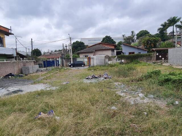 #244 - Área para Venda em Louveira - SP