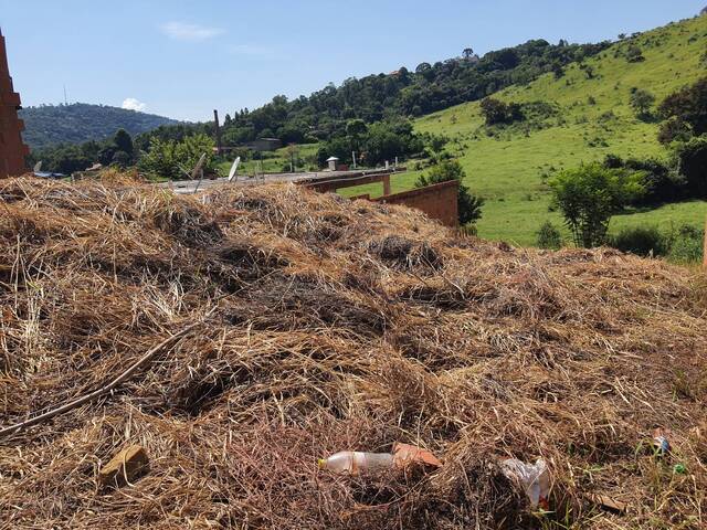 #275 - Área para Venda em Louveira - SP - 2